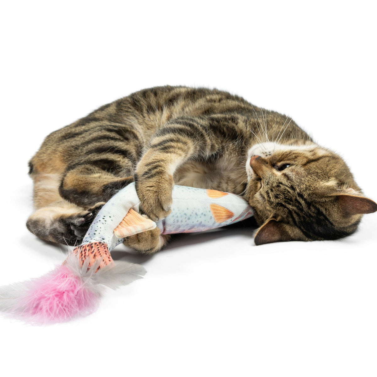 Rainbow Trout Kicker Cat Toy