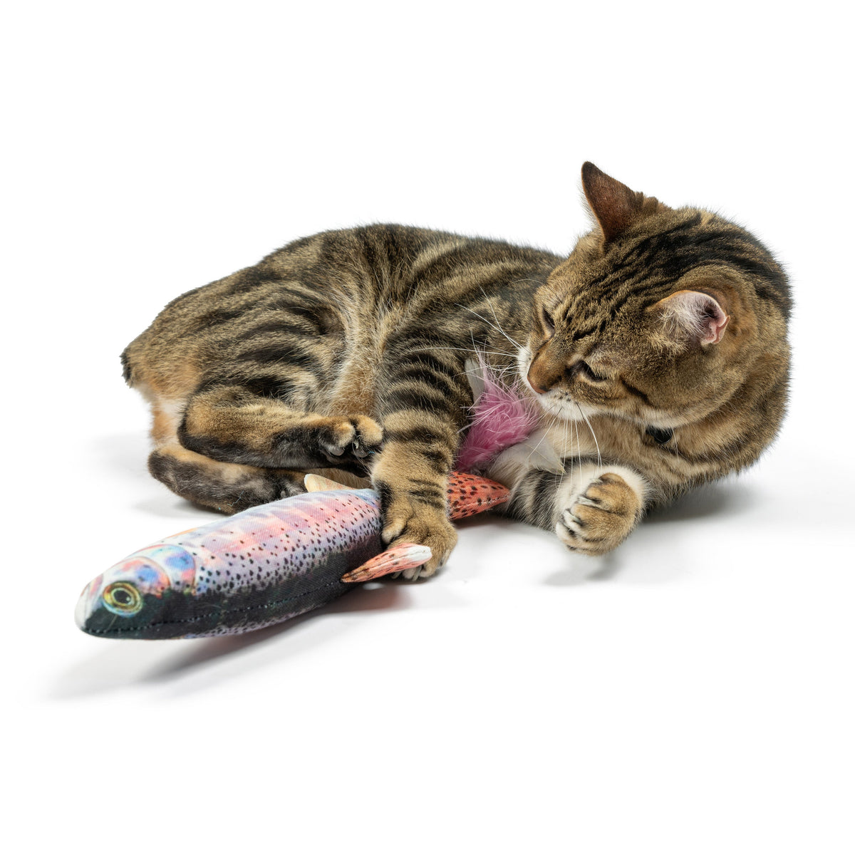 Rainbow Trout Kicker Cat Toy