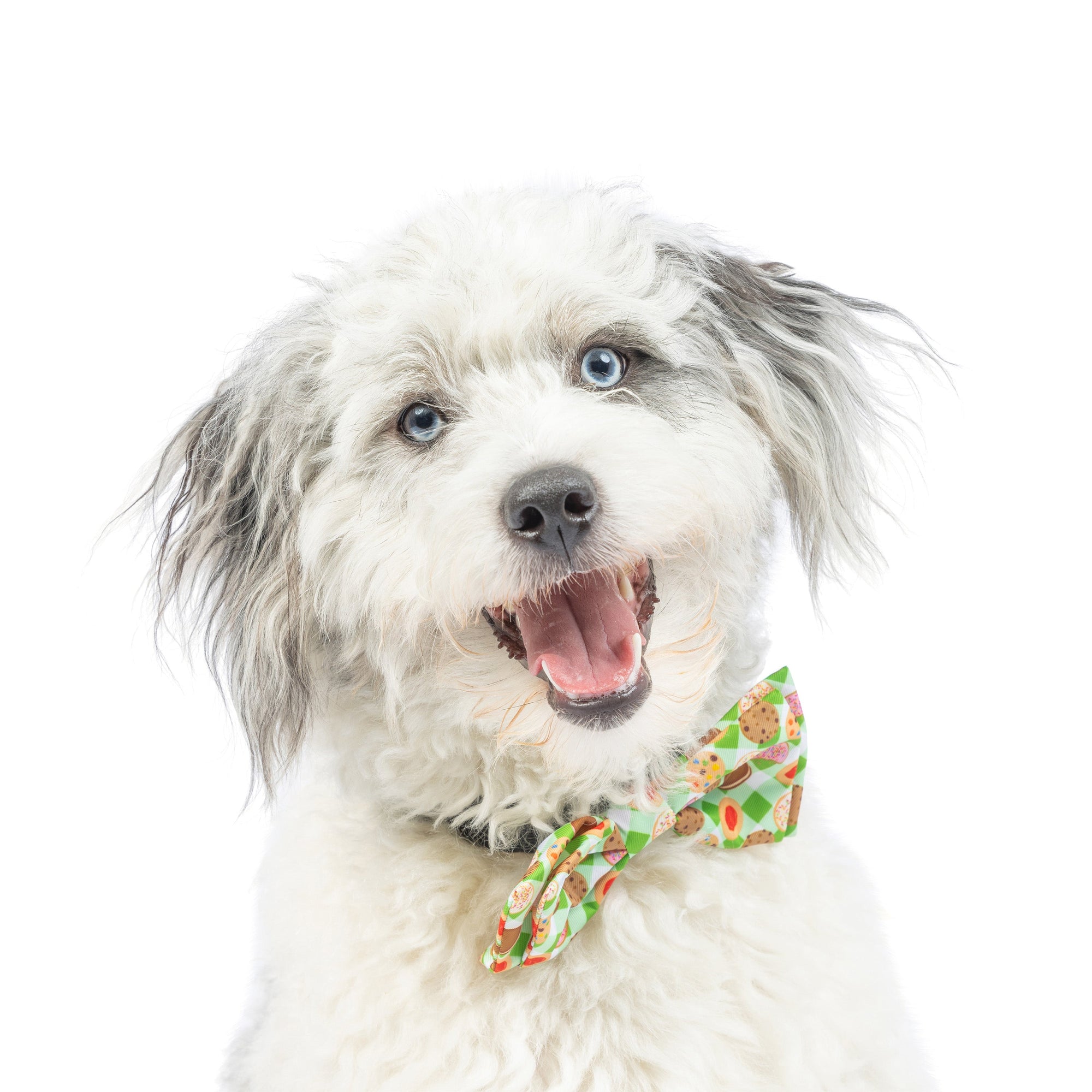 Cookie Monster Bow Tie