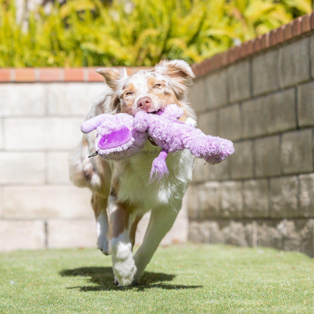Edie Elephant