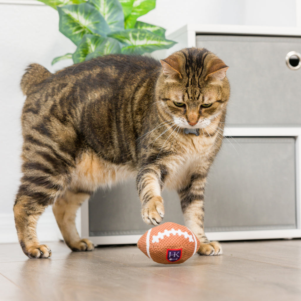 Hk Football Cat Toy