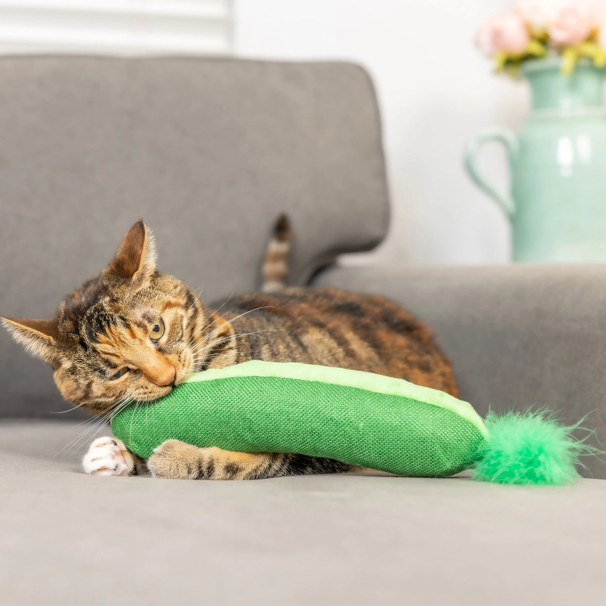 Cat kicker hot sale