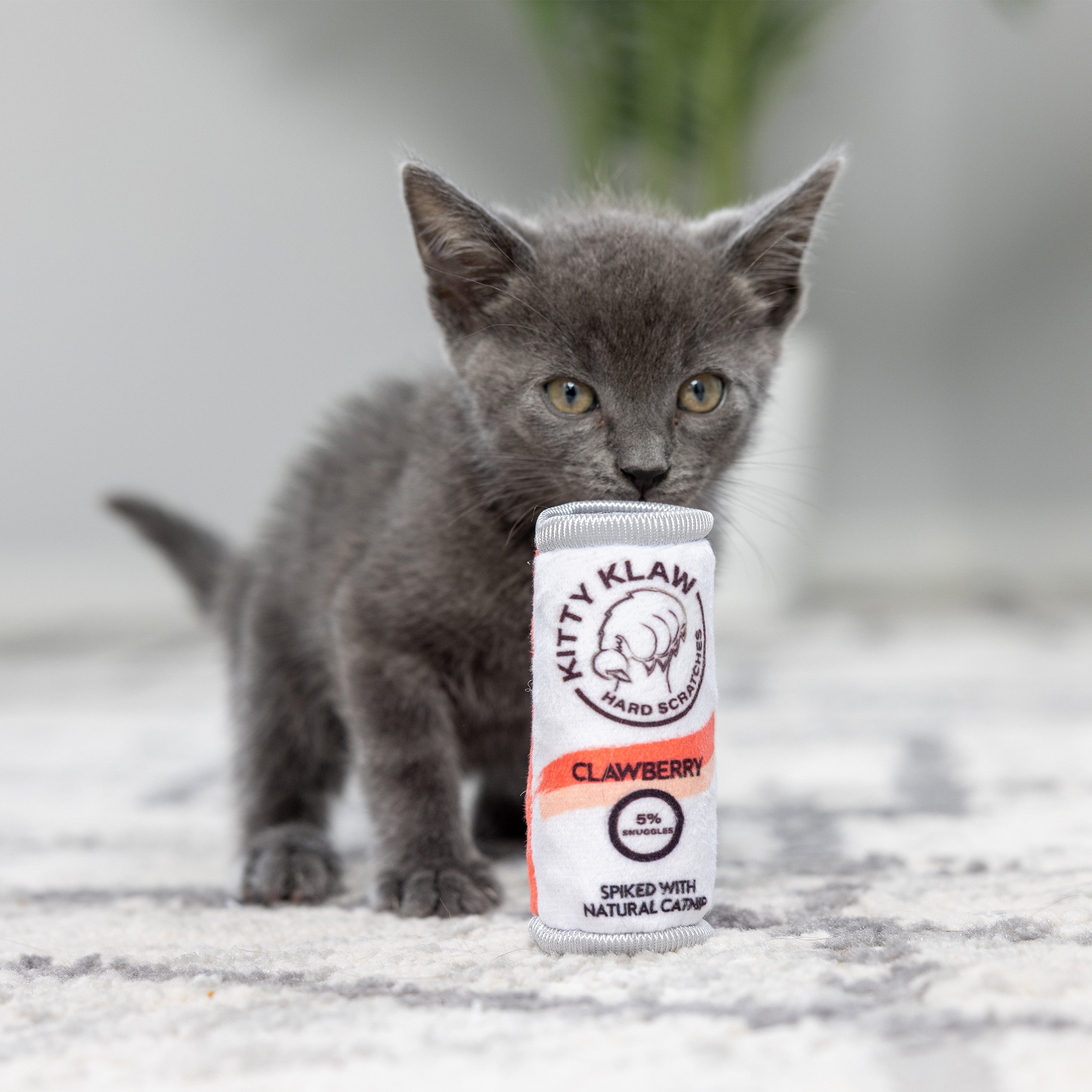 Kitty Klaw Clawberry Cat Toy - Huxley & Kent