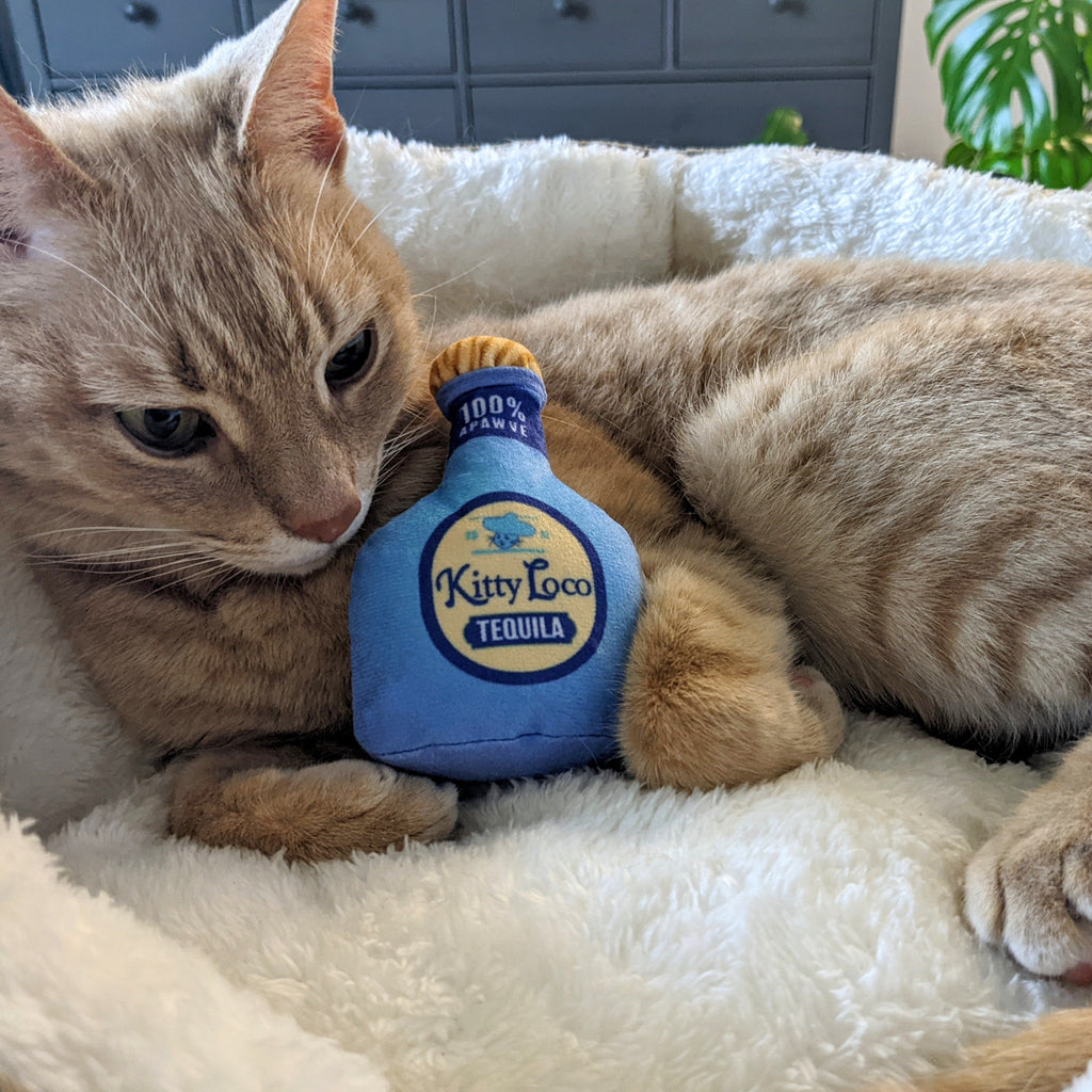 Loco Tequila Cat Toy