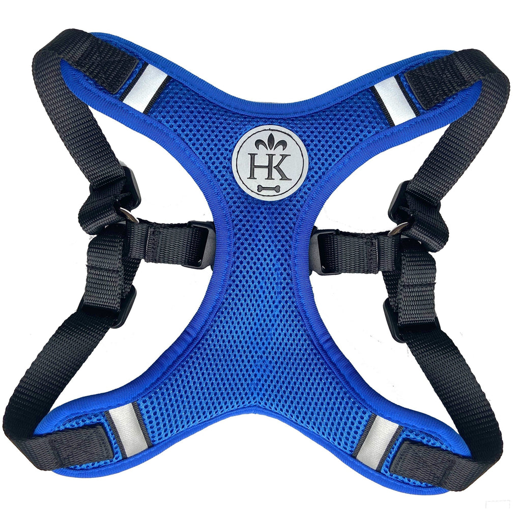 Scout Lopro Harness Xs / Blue
