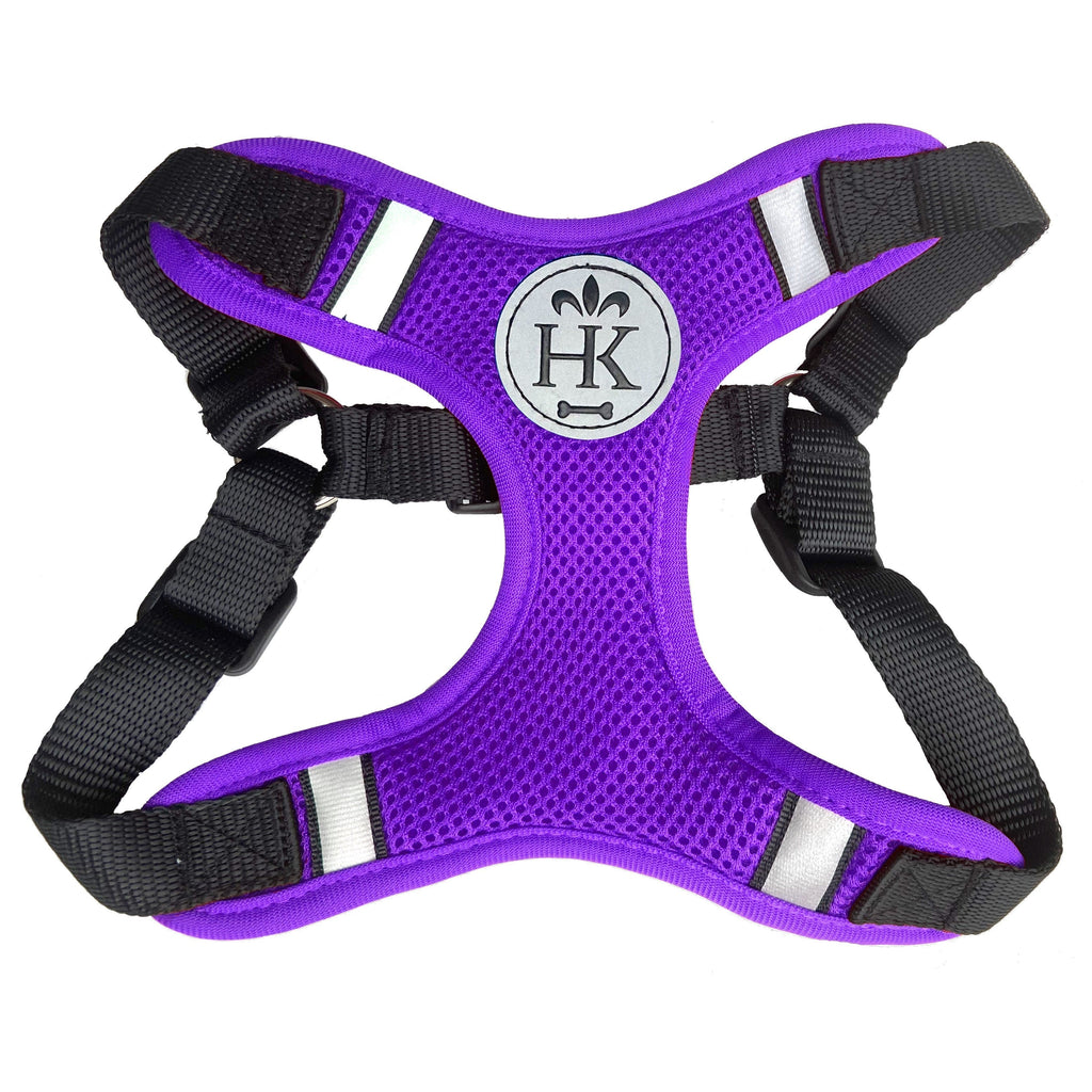 Scout Lopro Harness Xs / Purple