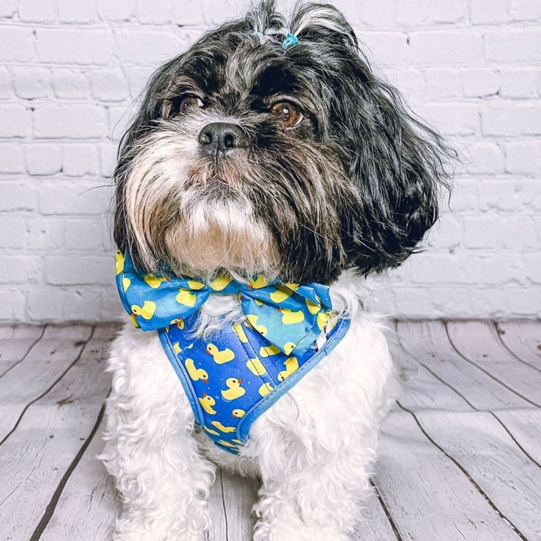 Lucky Ducky Bow Tie