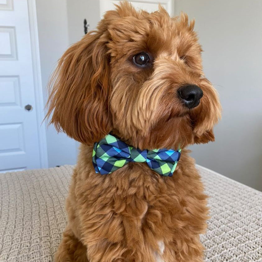 Navy Check Bow Tie