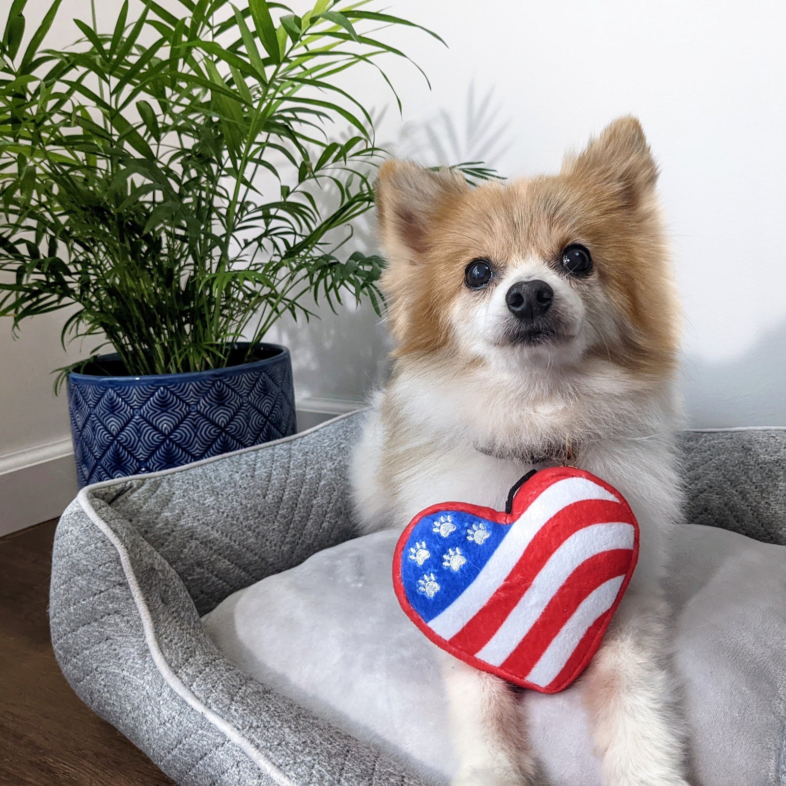 Paws & Stripes Heart