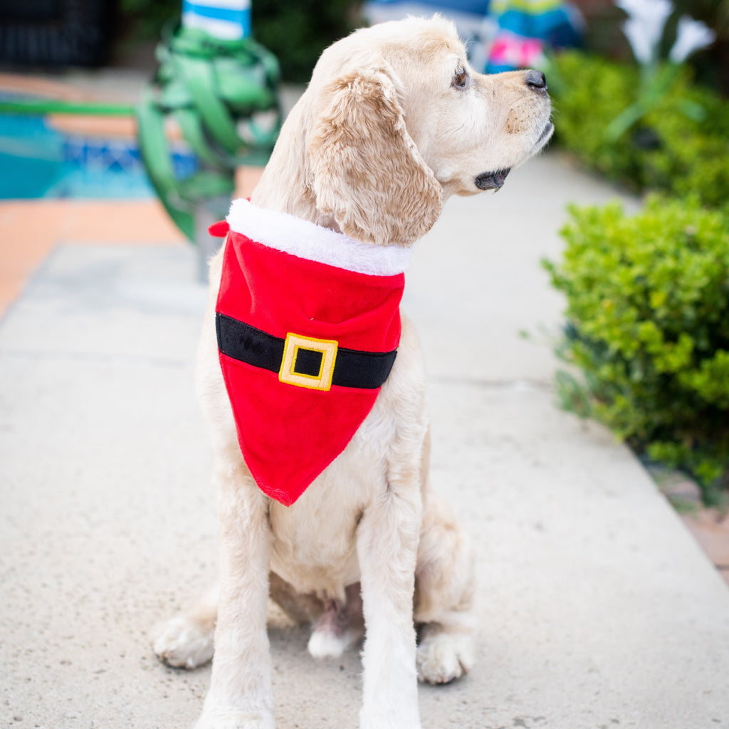 Santas Suit Bandana