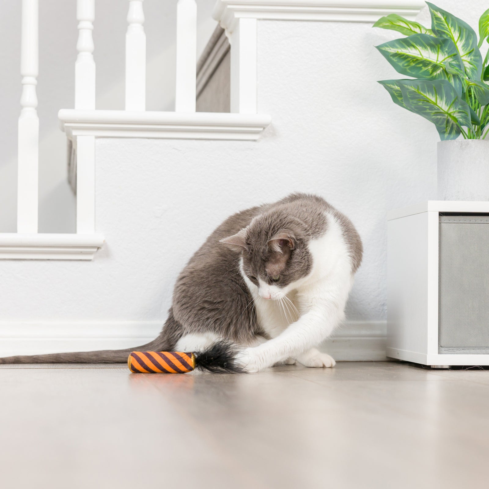 Spiderweb Donut & Black Flame Candle 2Pk Cat Toy