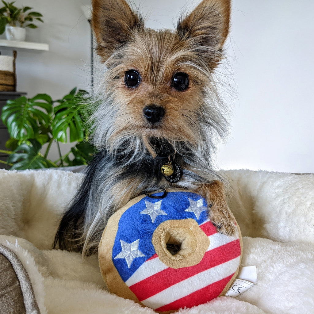 Stars & Stripes Donut
