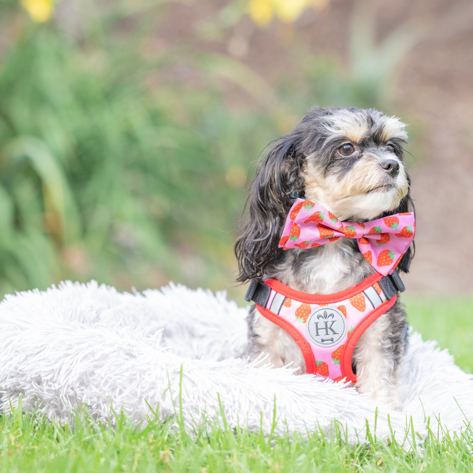 Strawberries Bow Tie