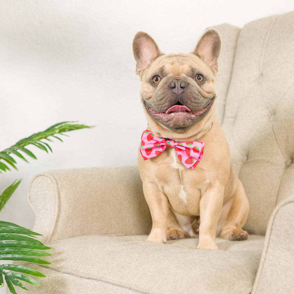 Strawberries Bow Tie