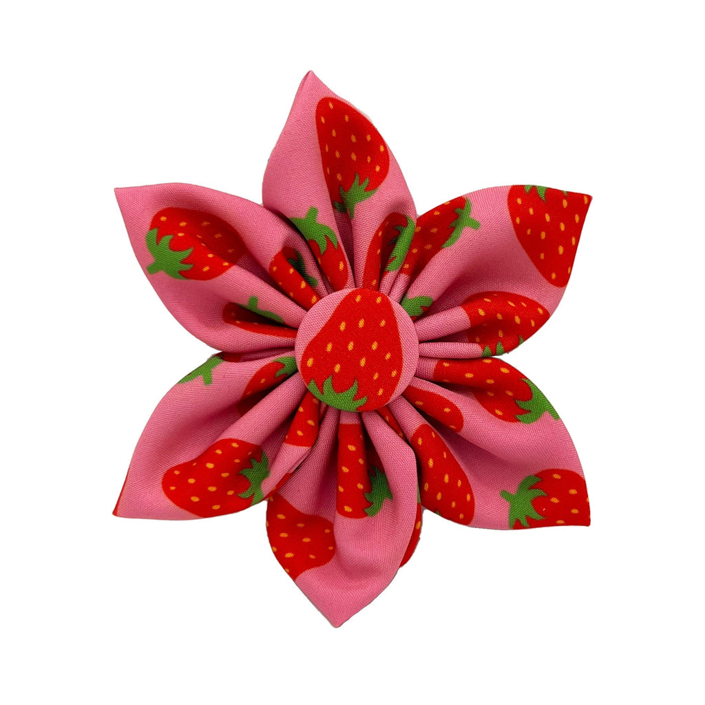 Strawberry Pinwheel