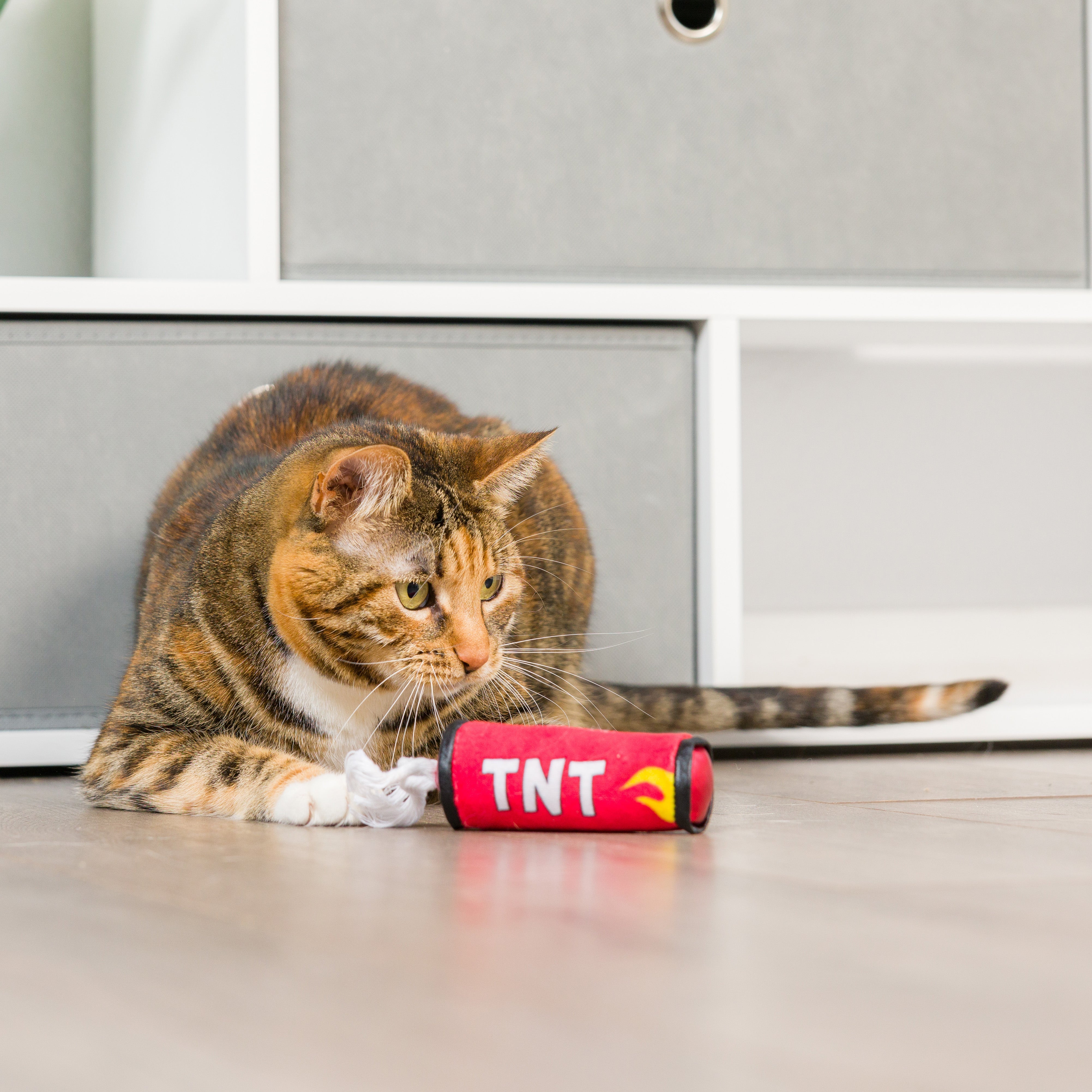for Cats TNT Stick Cat Toy - Cat Toy