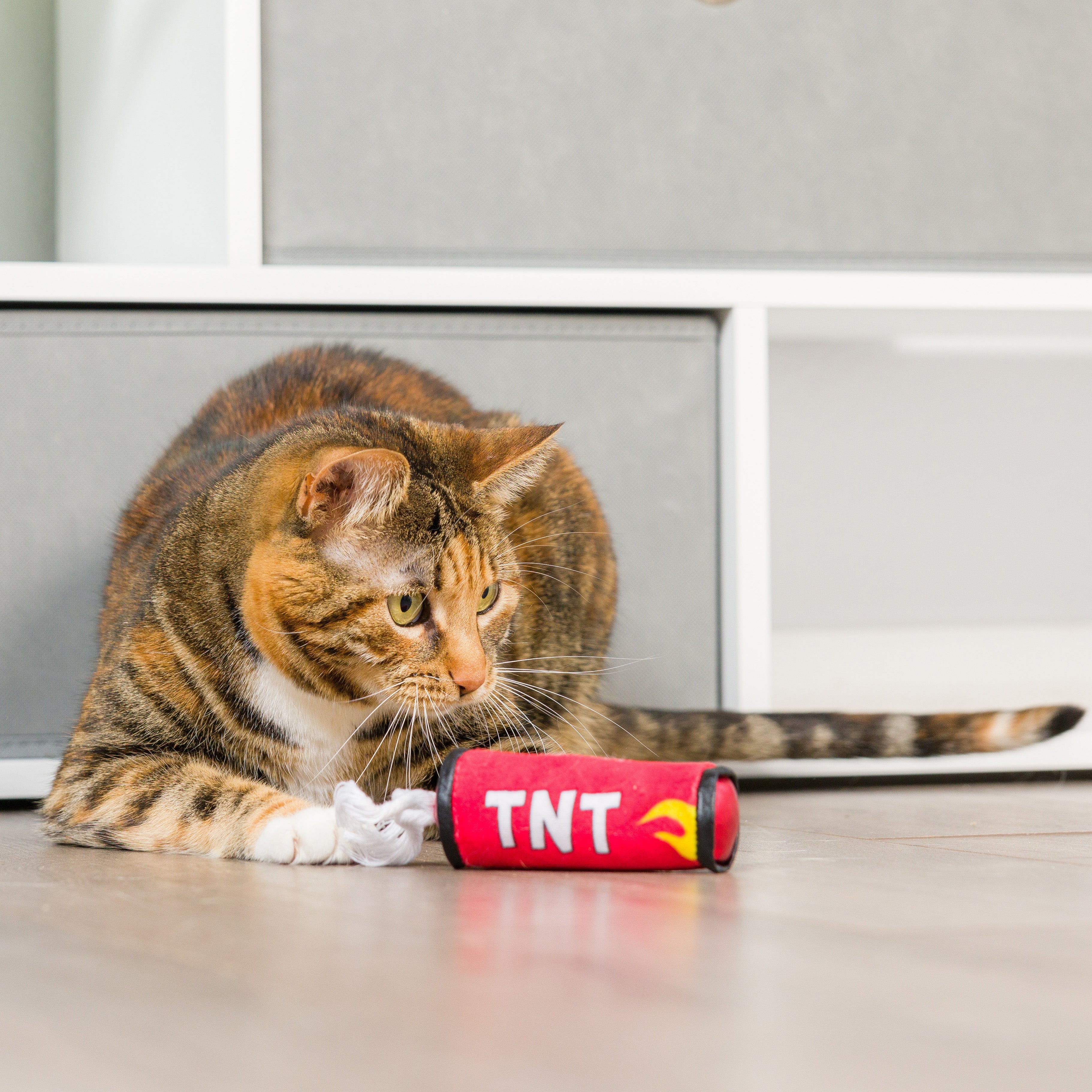 TNT Stick Cat Toy Huxley Kent