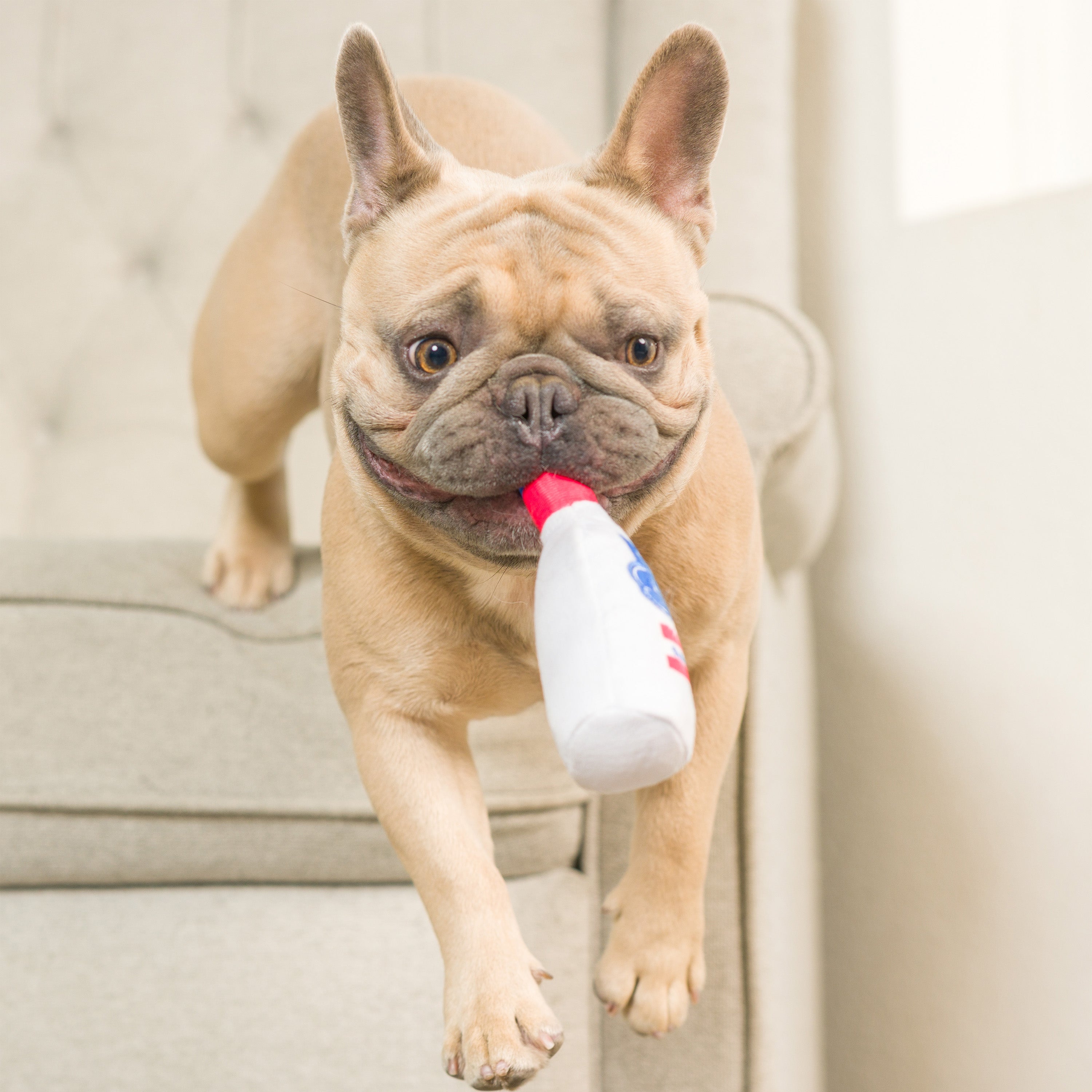 Dog Donut Chewing Toy – Frenchiely