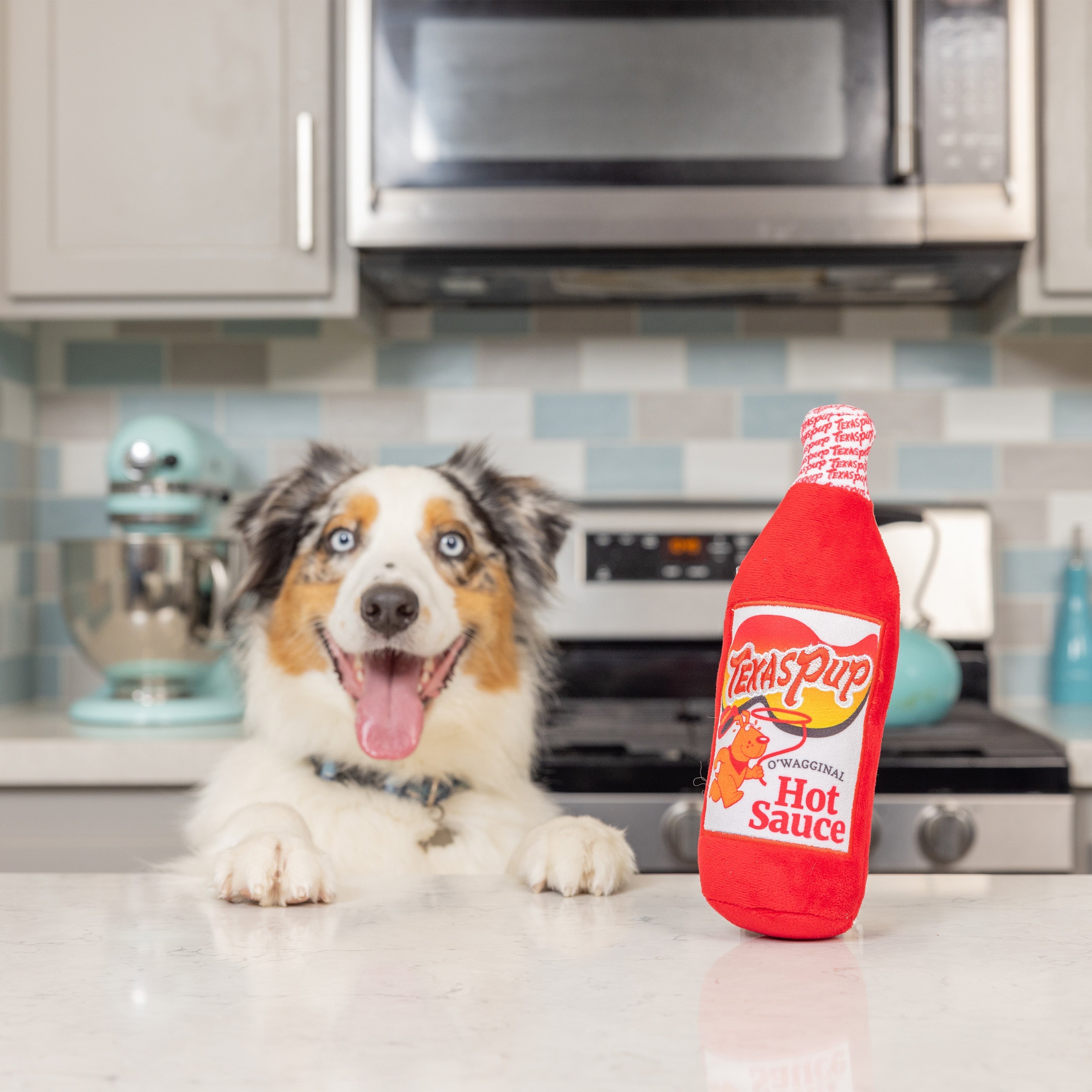 what happens if dog eats hot sauce