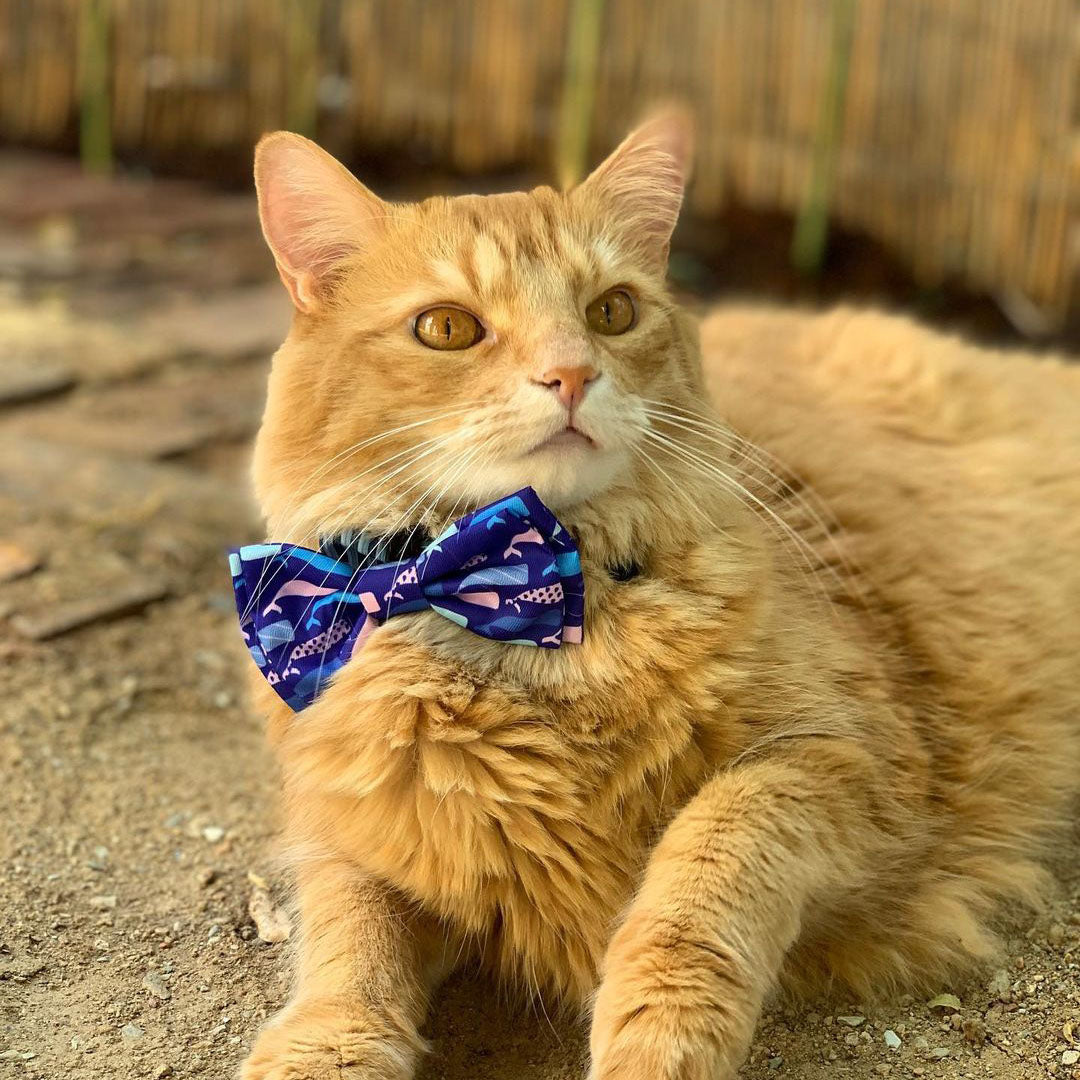 Whale Watch Bow Tie