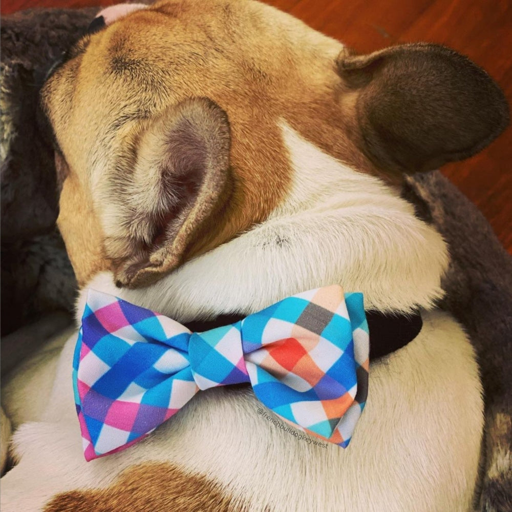 Blue Green Check Bow Tie – Huxley & Kent