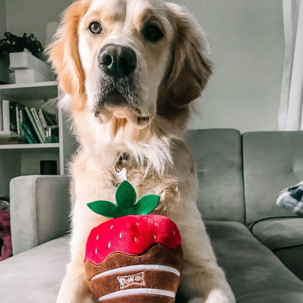 Chocolate covered shop strawberry dog toy