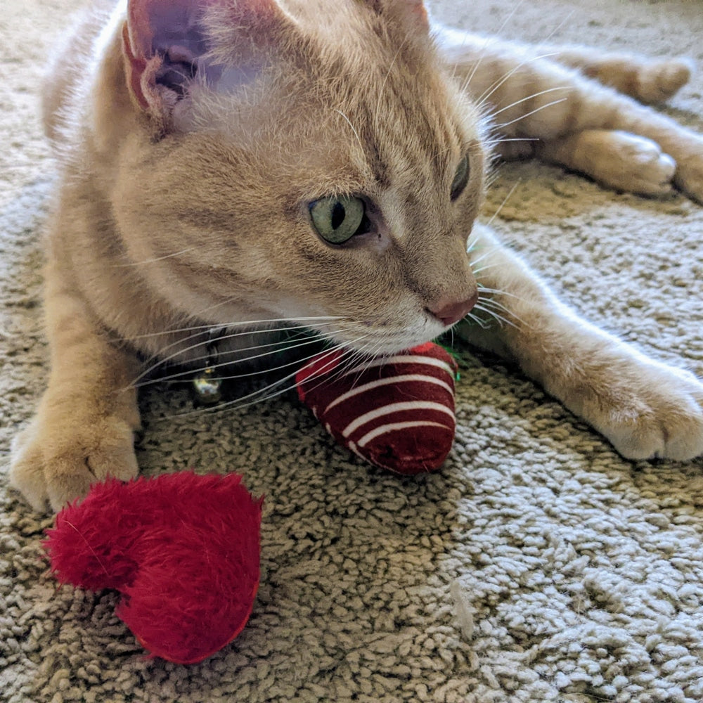 Chocolate Strawberry/Convo Heart 2Pk Cat Toy