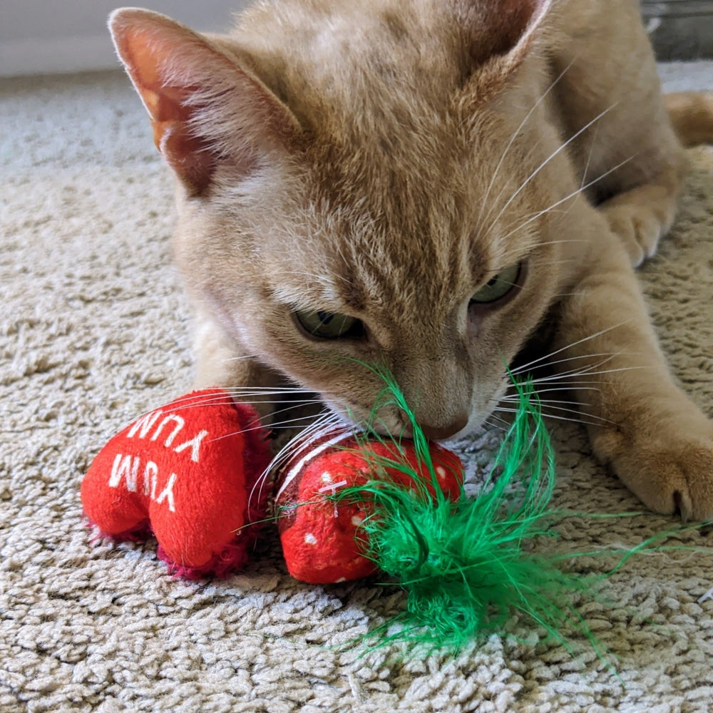 Chocolate Strawberry/Convo Heart 2Pk Cat Toy