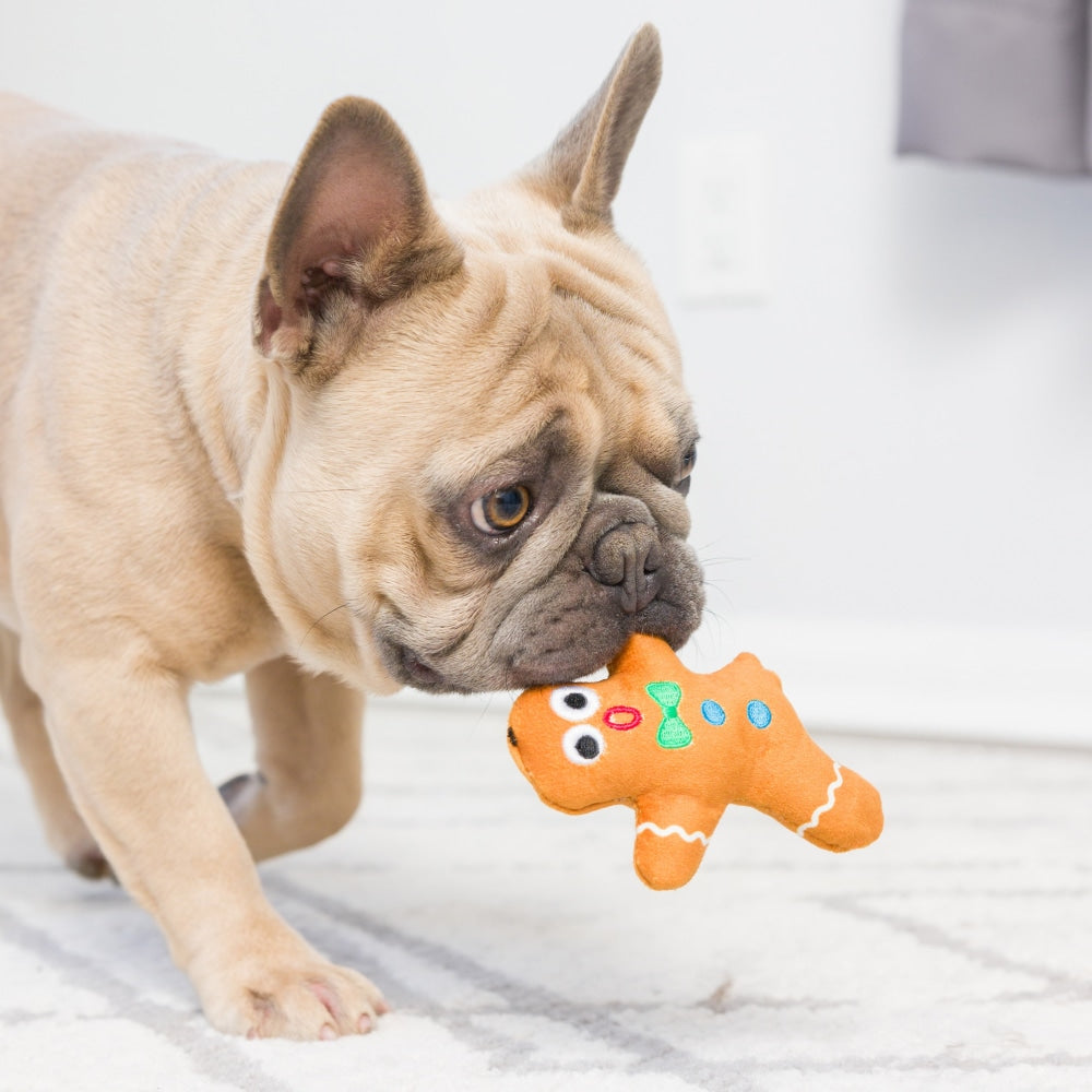 Dog Sniffing Ball Toys – FluffnStuff Boutique