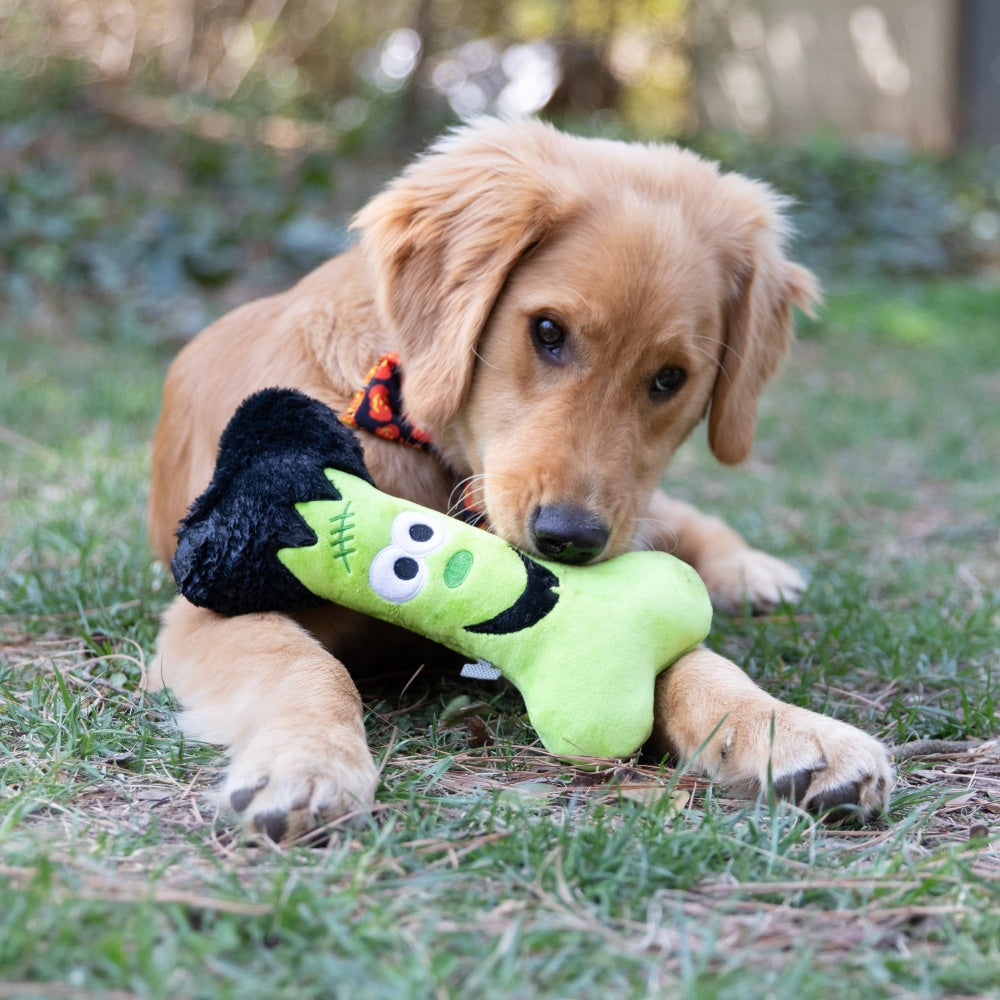 Football Bone - Dog Toy – Huxley & Kent