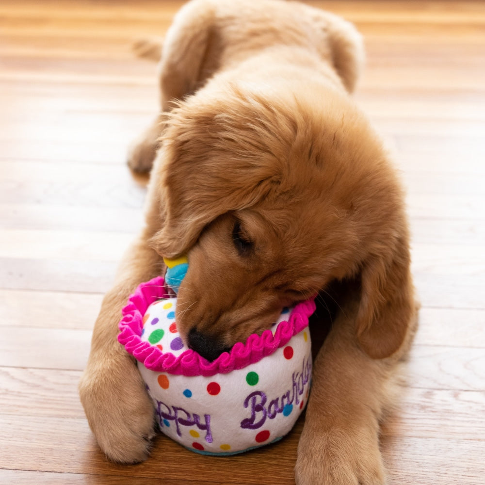 Chewy Vuiton Happy Barkday Cake Toy