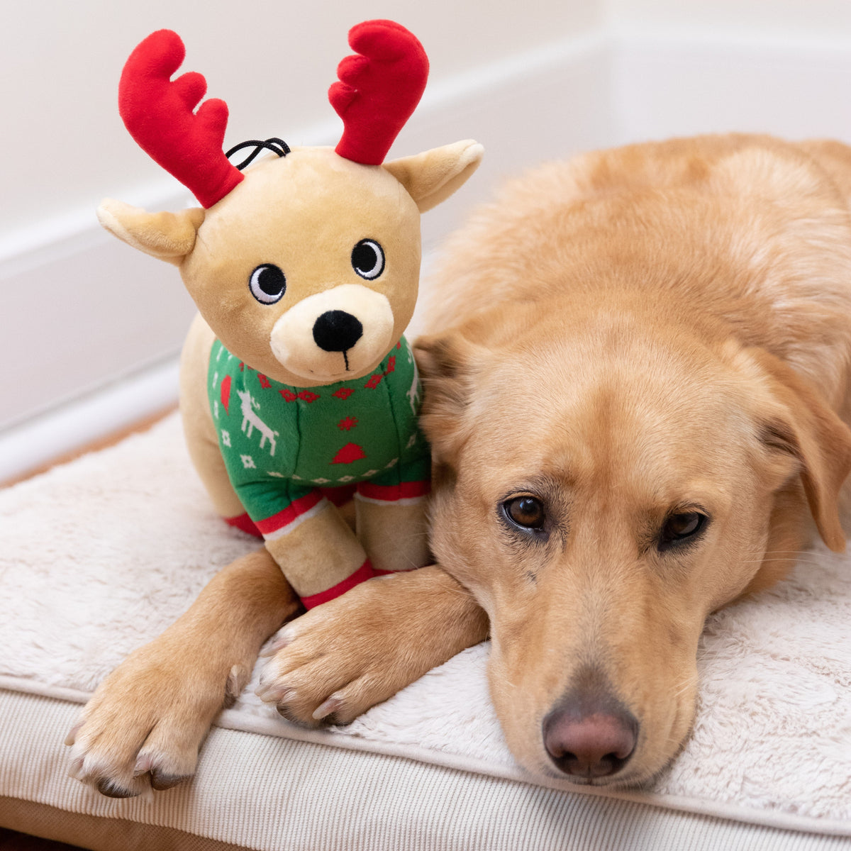 Ruby Reindeer - Plush Dog Toy - Huxley & Kent