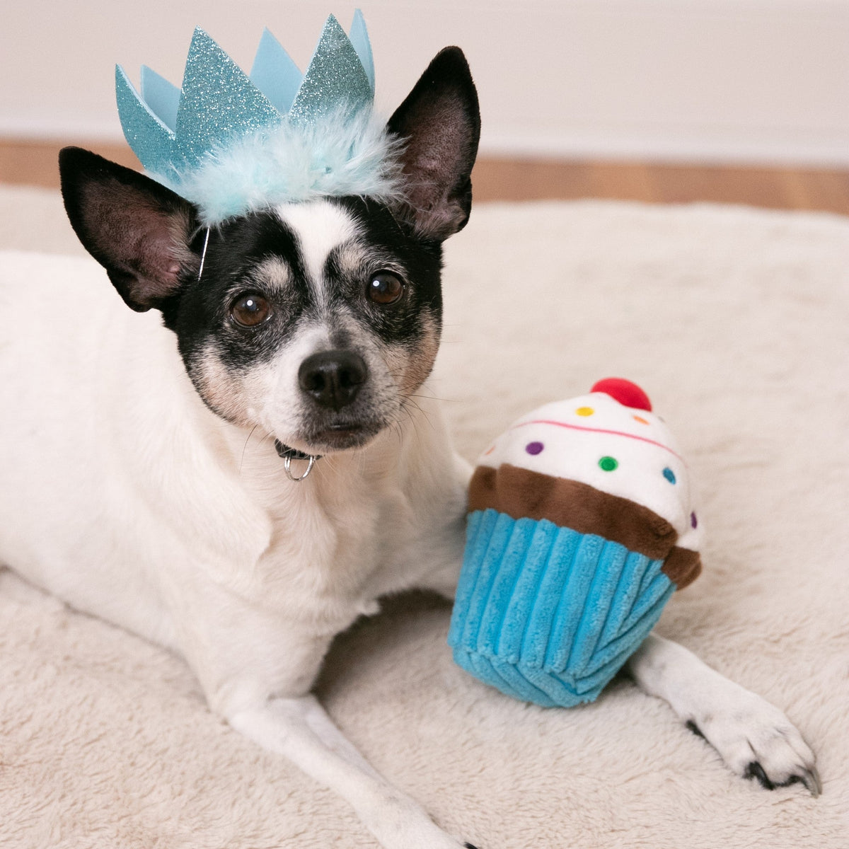 Party Crowns with SnugFit® for Dogs Cats Huxley Kent