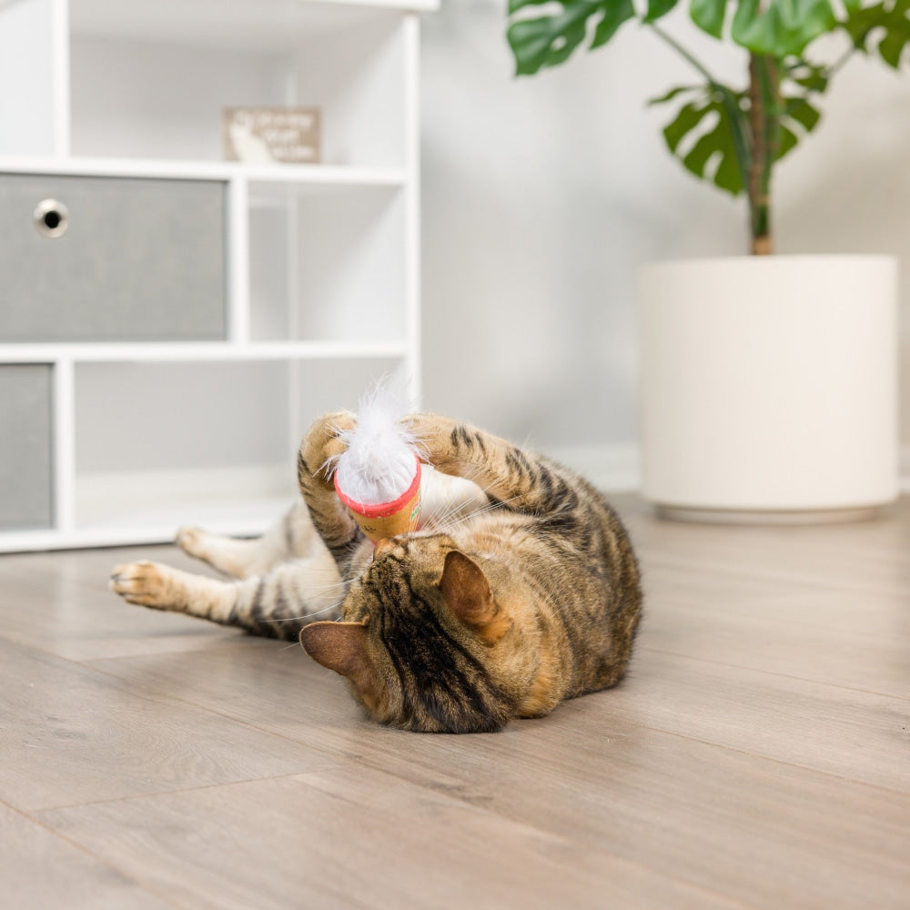 Smart Ball Cat Toy