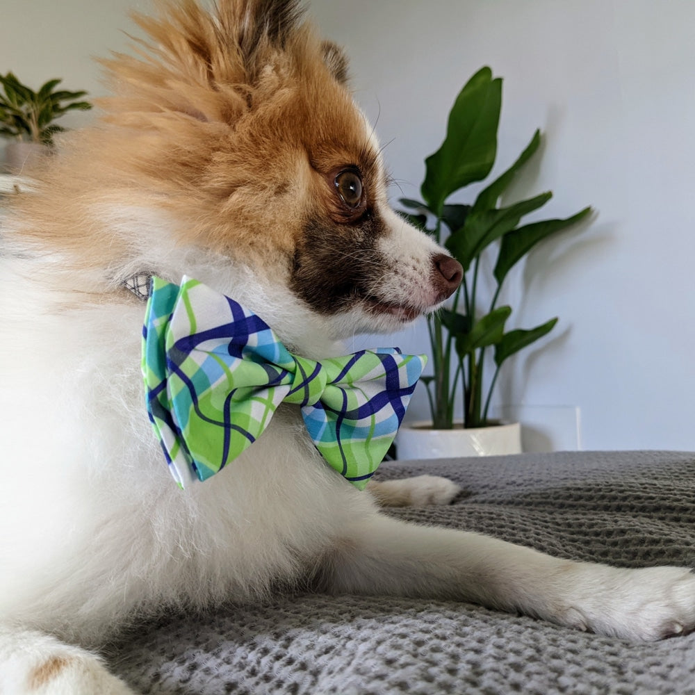 Lime Madras Bow Tie