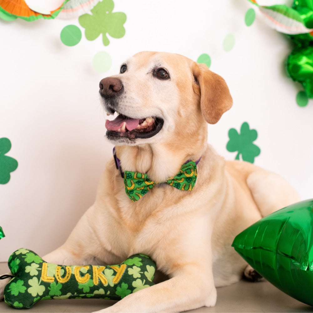 Lucky Charm Bow Tie