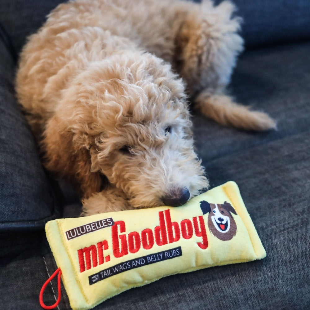 Mr. Goodboy (Stuffless)