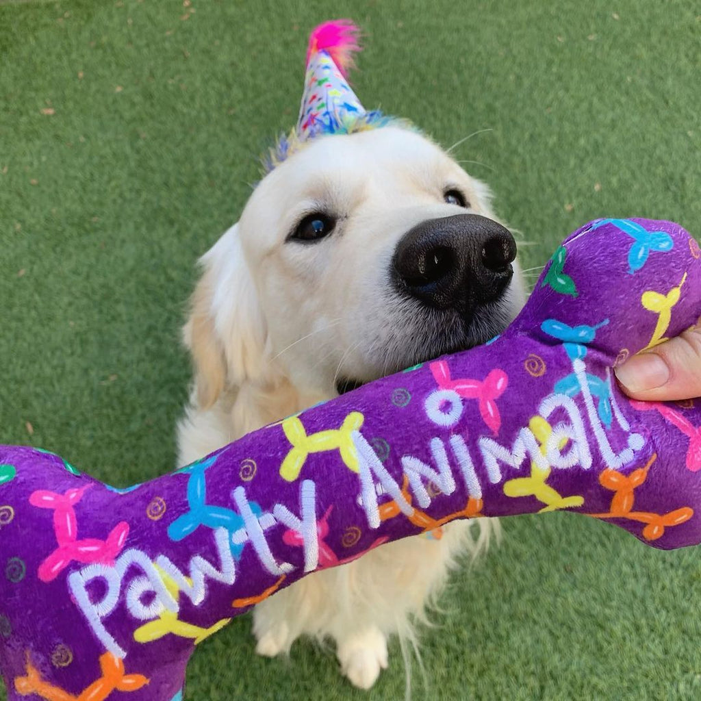 Party Hats With Snugfit