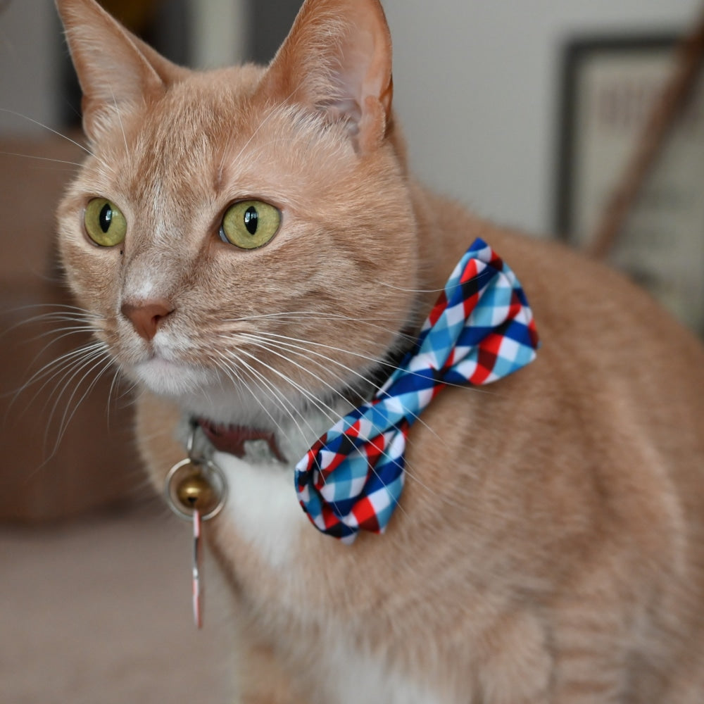 Picnic Check Bow Tie