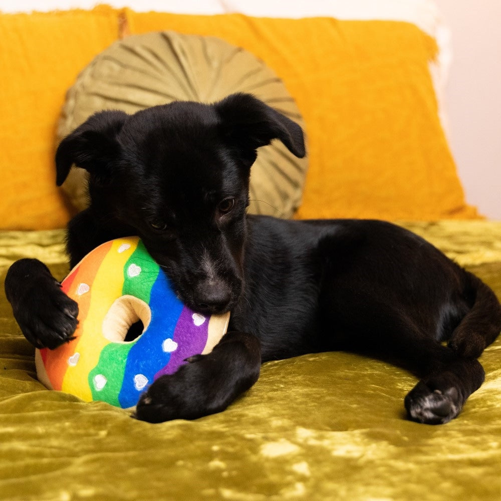 Squeaky donut hotsell dog toy