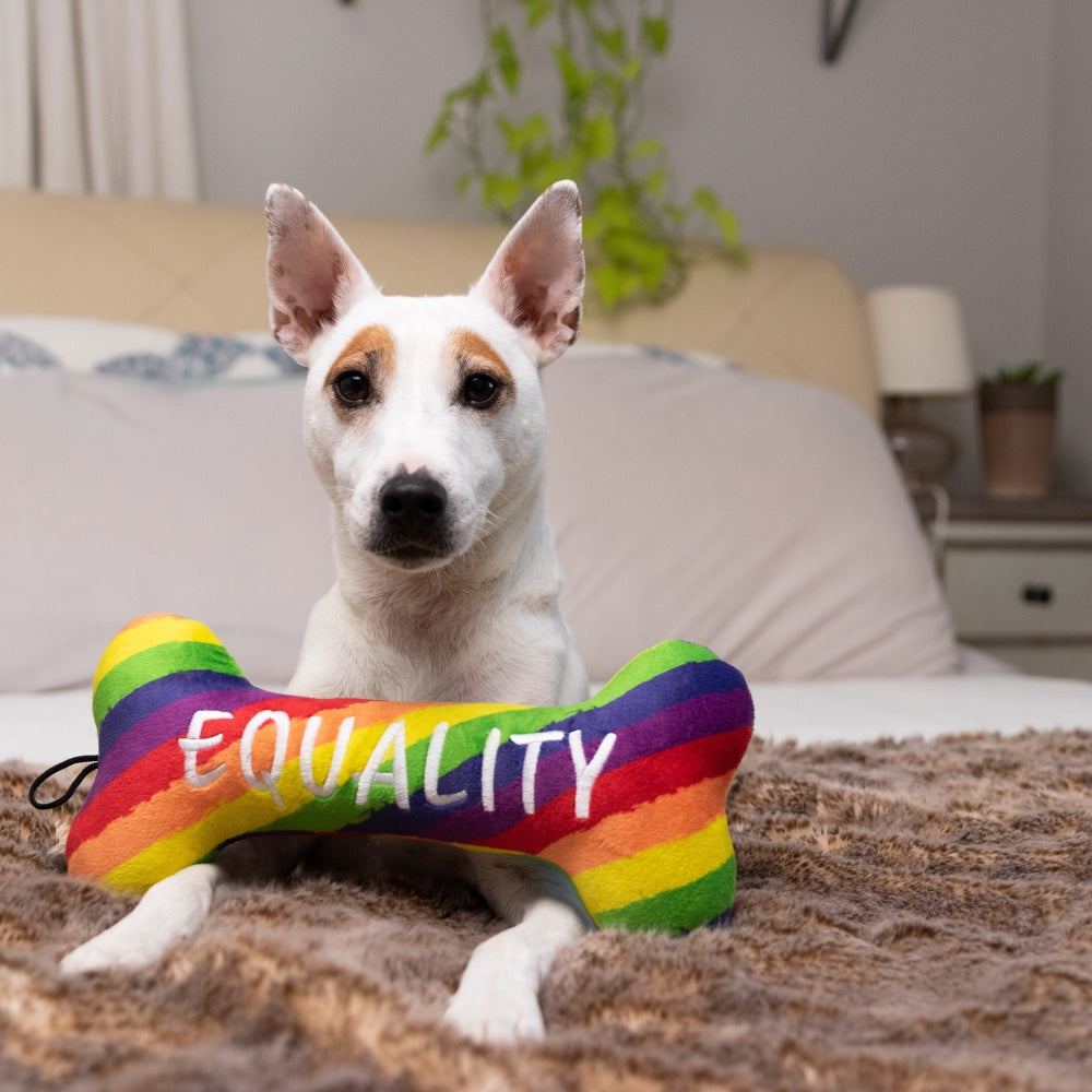 Pride Equality Bone