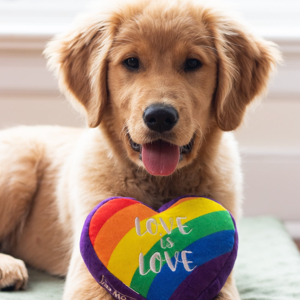 Pride Heart (Double Sided)