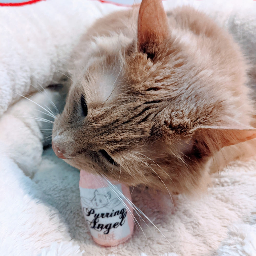 Purring Angel Rose Plush Cat Toy – Huxley & Kent