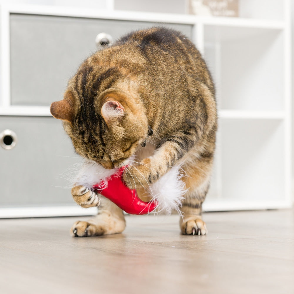 Santa Hat & Sweet Thing Candy 2Pk Cat Toy