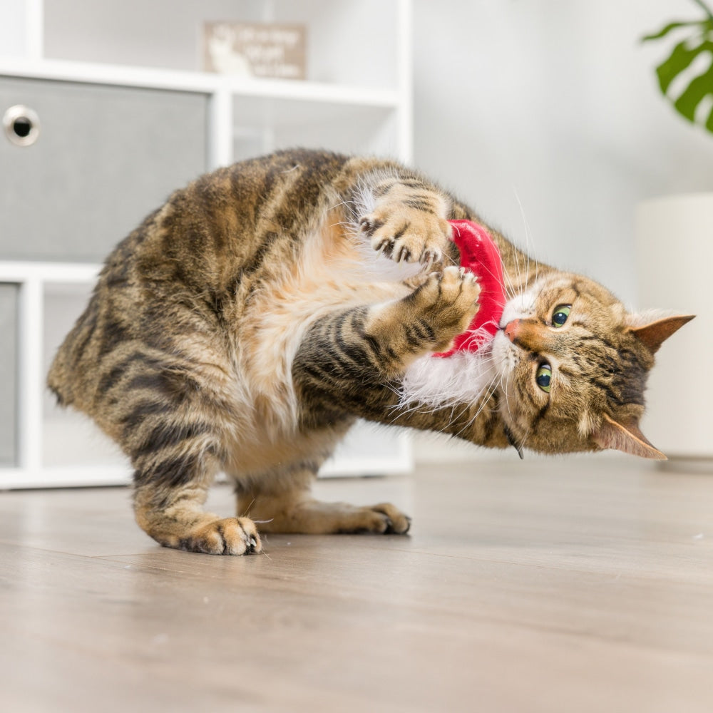 Santa Hat & Sweet Thing Candy 2Pk Cat Toy