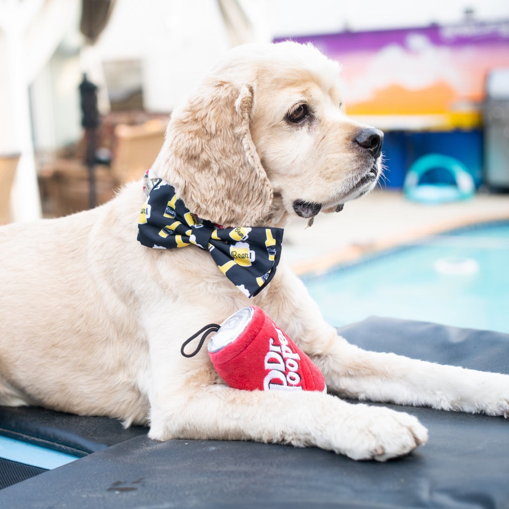 Golden retriever bow clearance tie