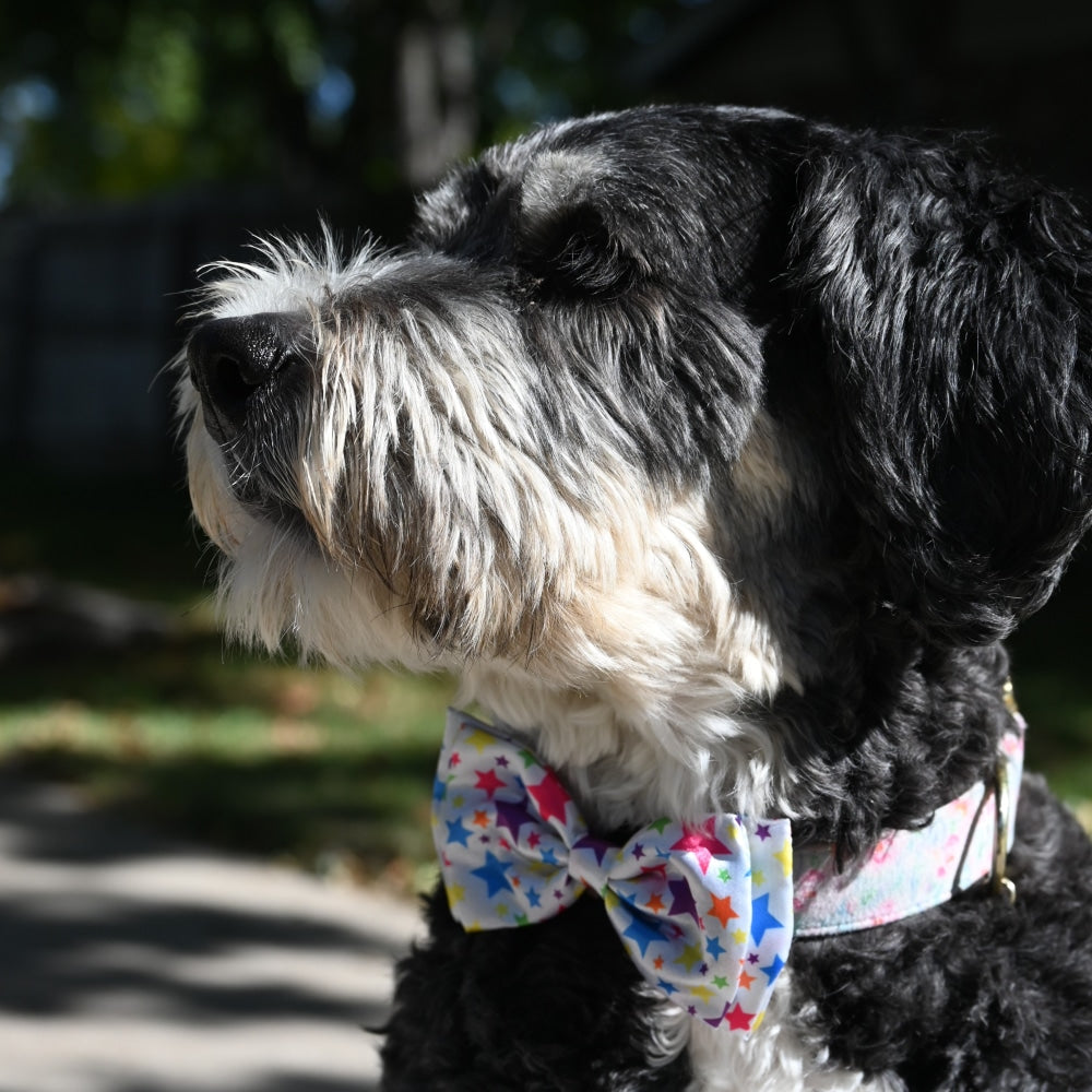 Superstars Bow Tie For Dogs & Cats Huxley & Kent