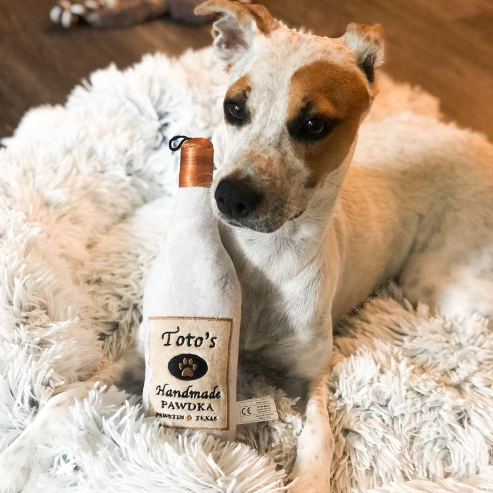 Totos Pawdka